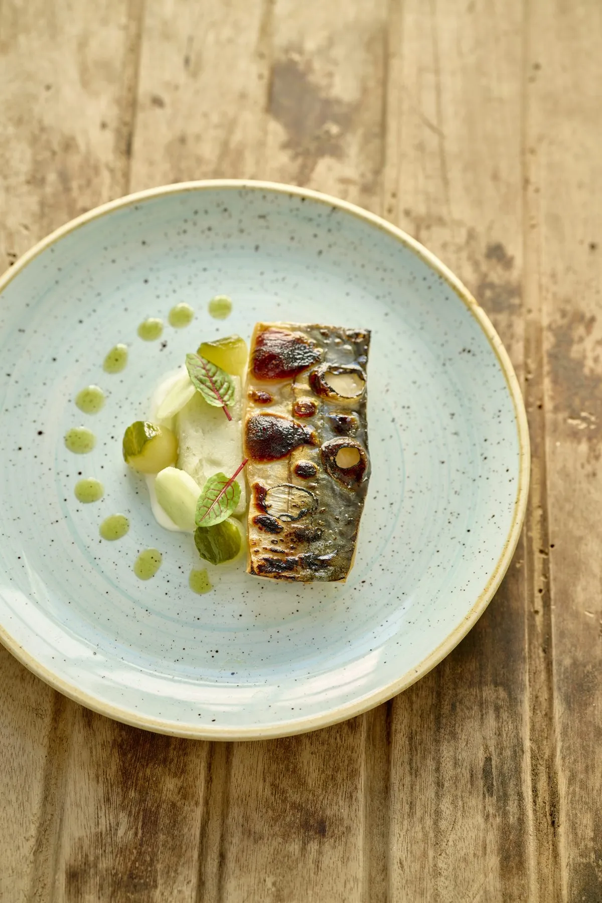 Grilled mackerel on a pale blue speckled plate