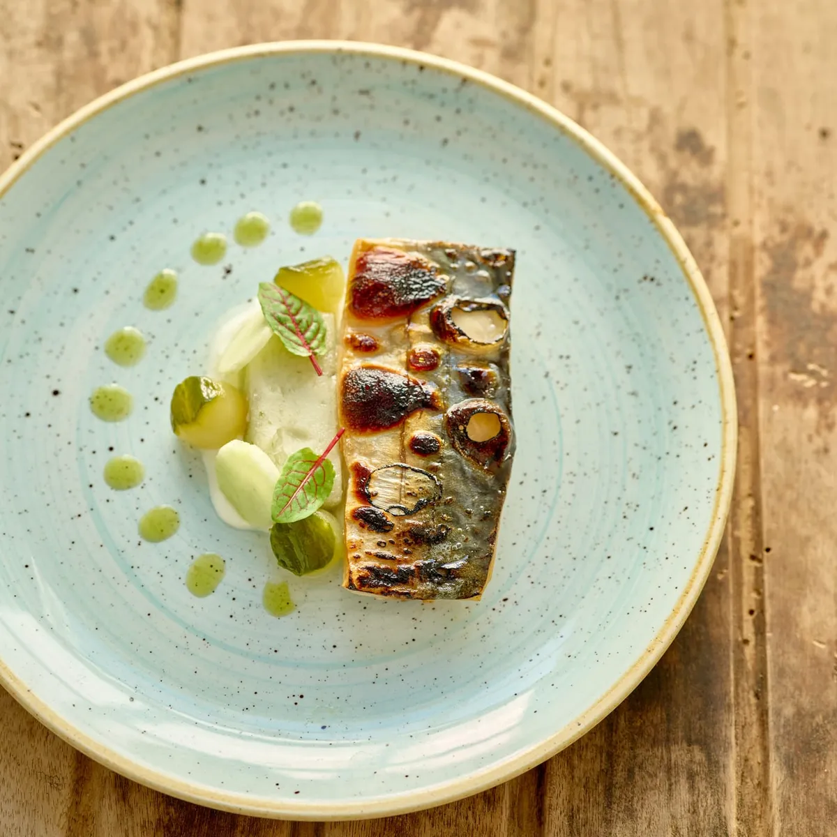 Grilled mackerel fillet with cucumber and herb oil, on a pale blue speckled plate