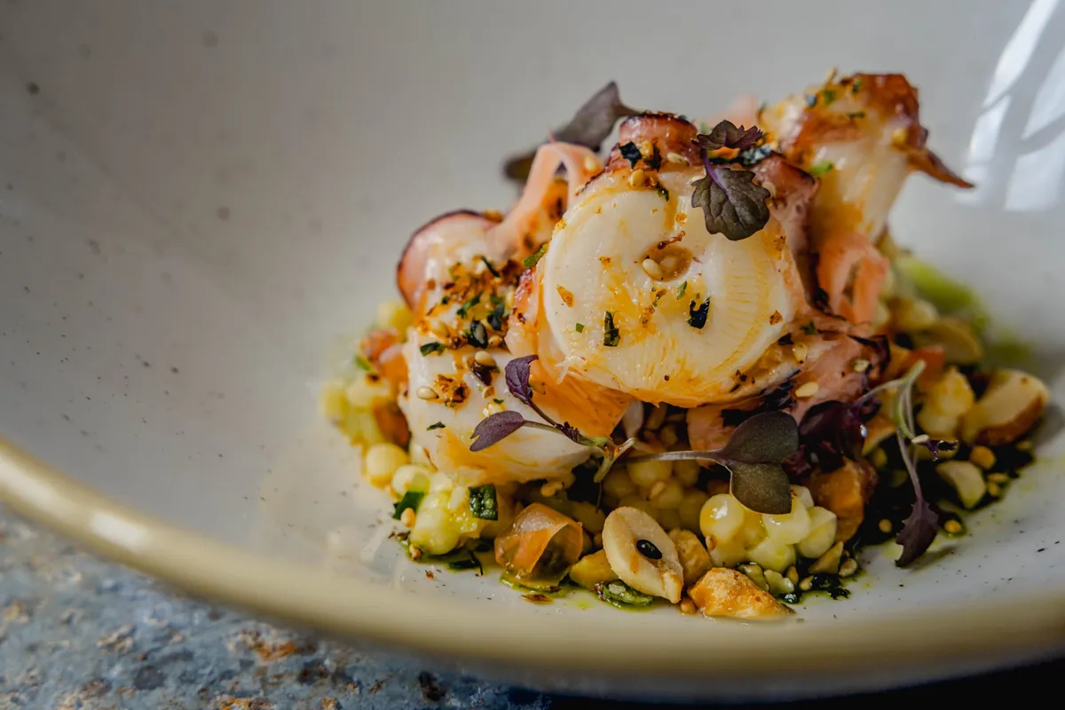 Wild Cornish octopus with pearl couscous, hazelnuts and micro herbs, side view